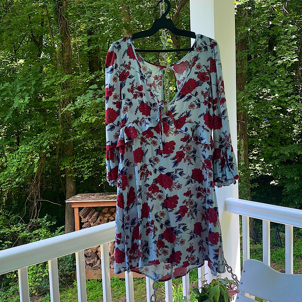 AEO Rose Dress